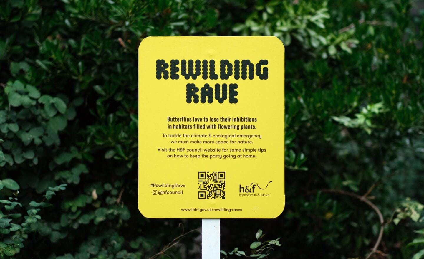 sign explaining rewilding in london sign explaining rewilding in london