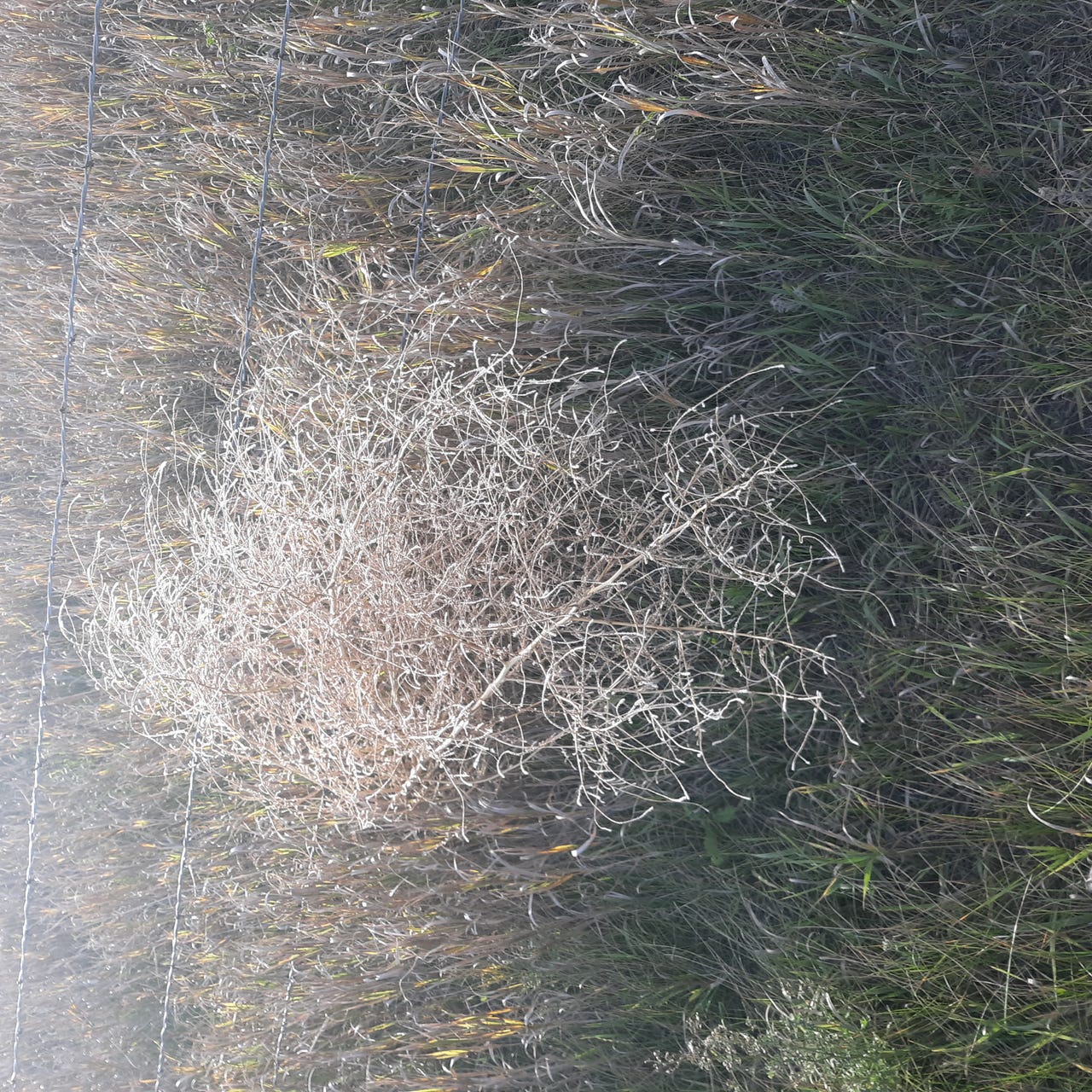 Financial Independence for 5 cents!