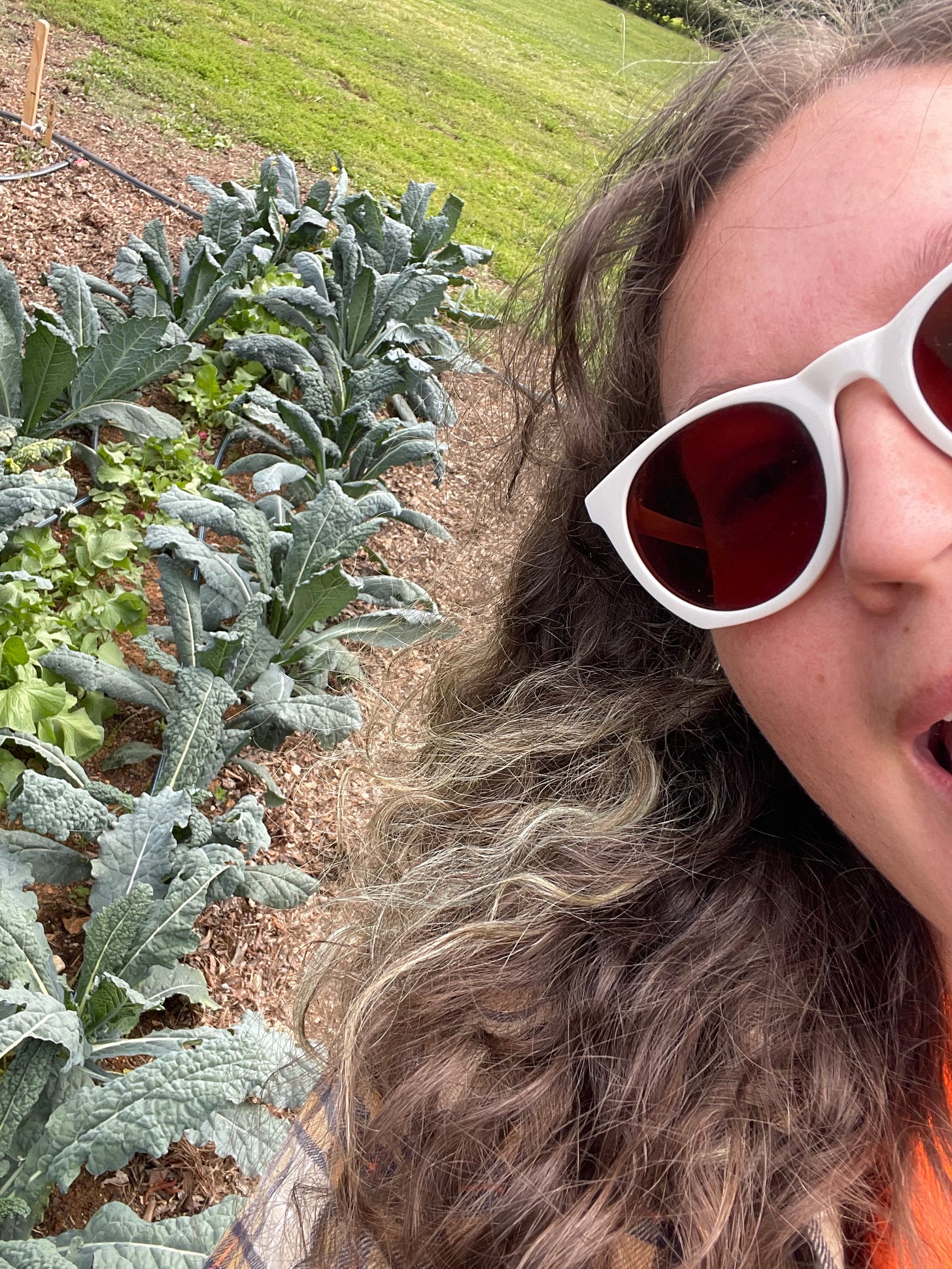 Krys with their field trial kale and radishes in the background