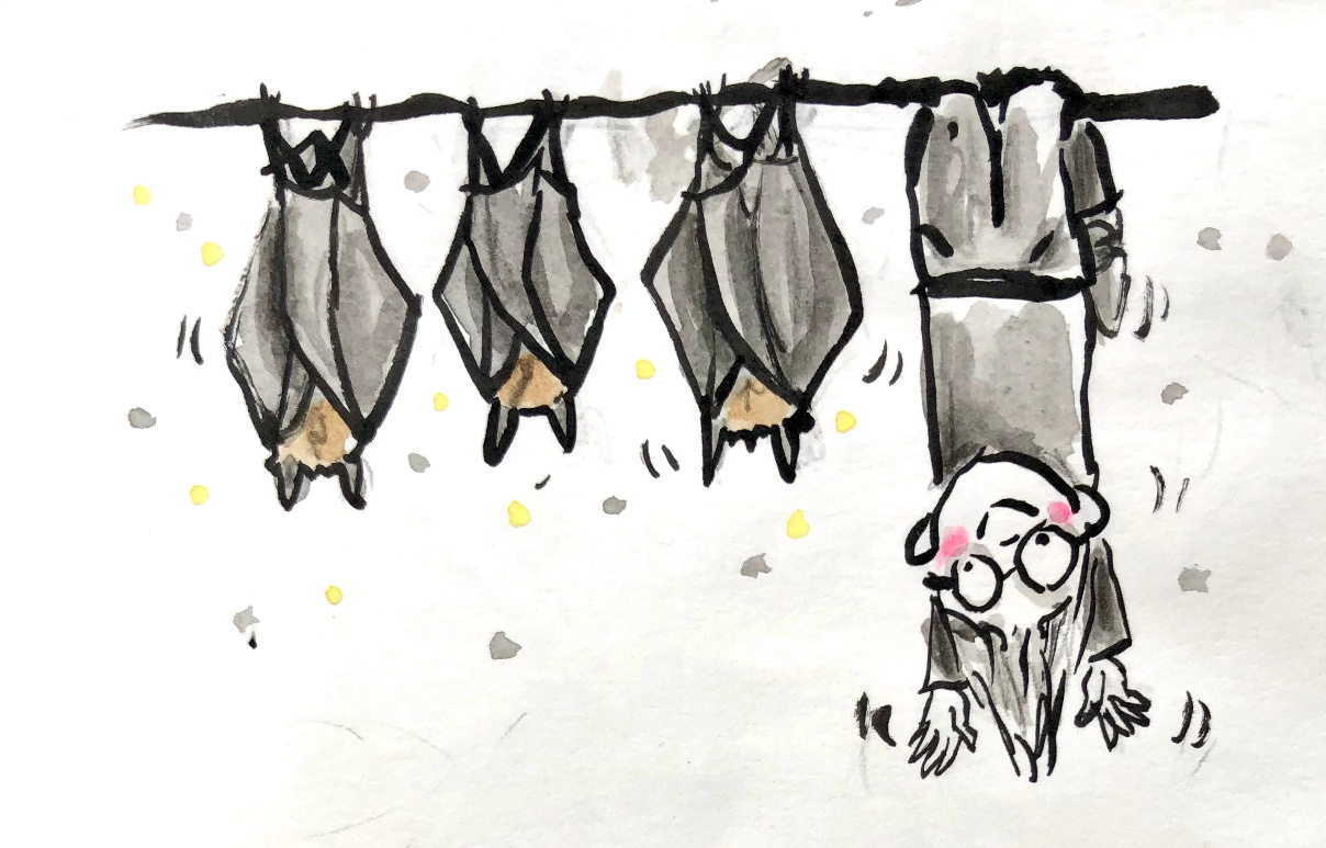 illustration , a row of bats hanging upside down with a person also upsidedown