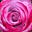 RMBZ's avatar
