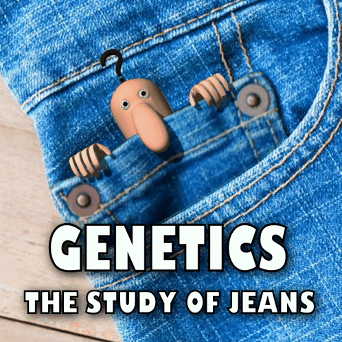 genetics the study of jeans poster with a cartoon character in a pocket genetics the study of jeans poster with a cartoon character in a pocket