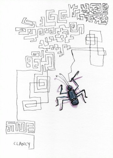 A longer grey beetle with pen in hand drawing a continuous line. The line starts in the bottom left corner and turns in lots of right angles to create a maze like image.
