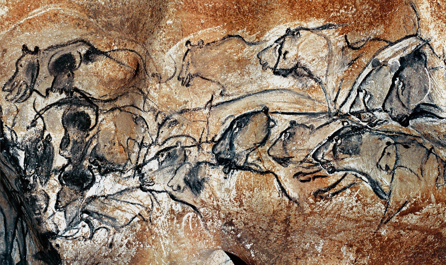 Lions Chauvet Cave Paintings Rock Art France Bradshaw Foundation Lions Chauvet Cave Paintings Rock Art France Bradshaw Foundation