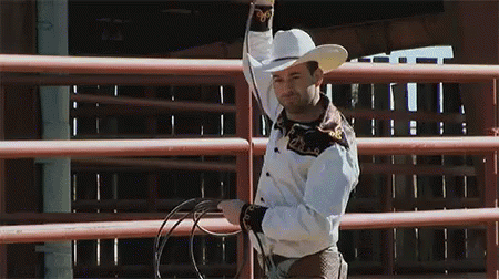 Lasso GIFs | Tenor Lasso GIFs | Tenor