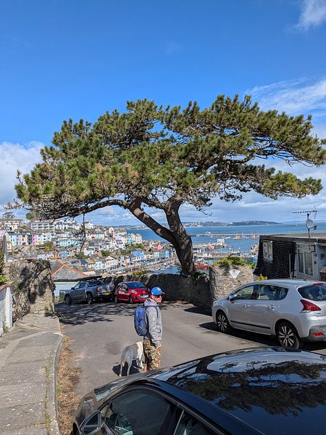 3 images: 1 of a harbour, 1 of a road leading to the harbour featuring a large tree stretching across the road. 1 of Adukeh the Poet wearing a pink top and smiling as she stands in a gardenin a garden