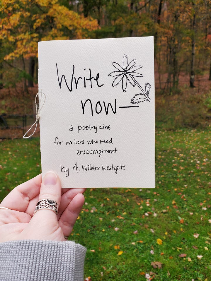 First photo: the cover of the zine, featuring a sketched daisy. Second photo: the first two pages of the zine, featuring the first few lines of the poem and drawings of a seedling growing. 