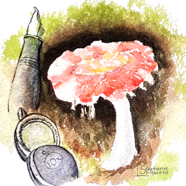 Discovery by Sketch logo