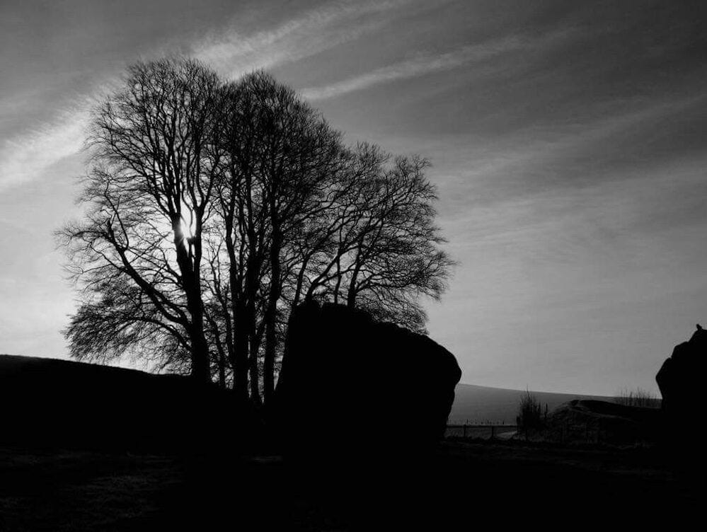 IMG_2385 IMG_2385