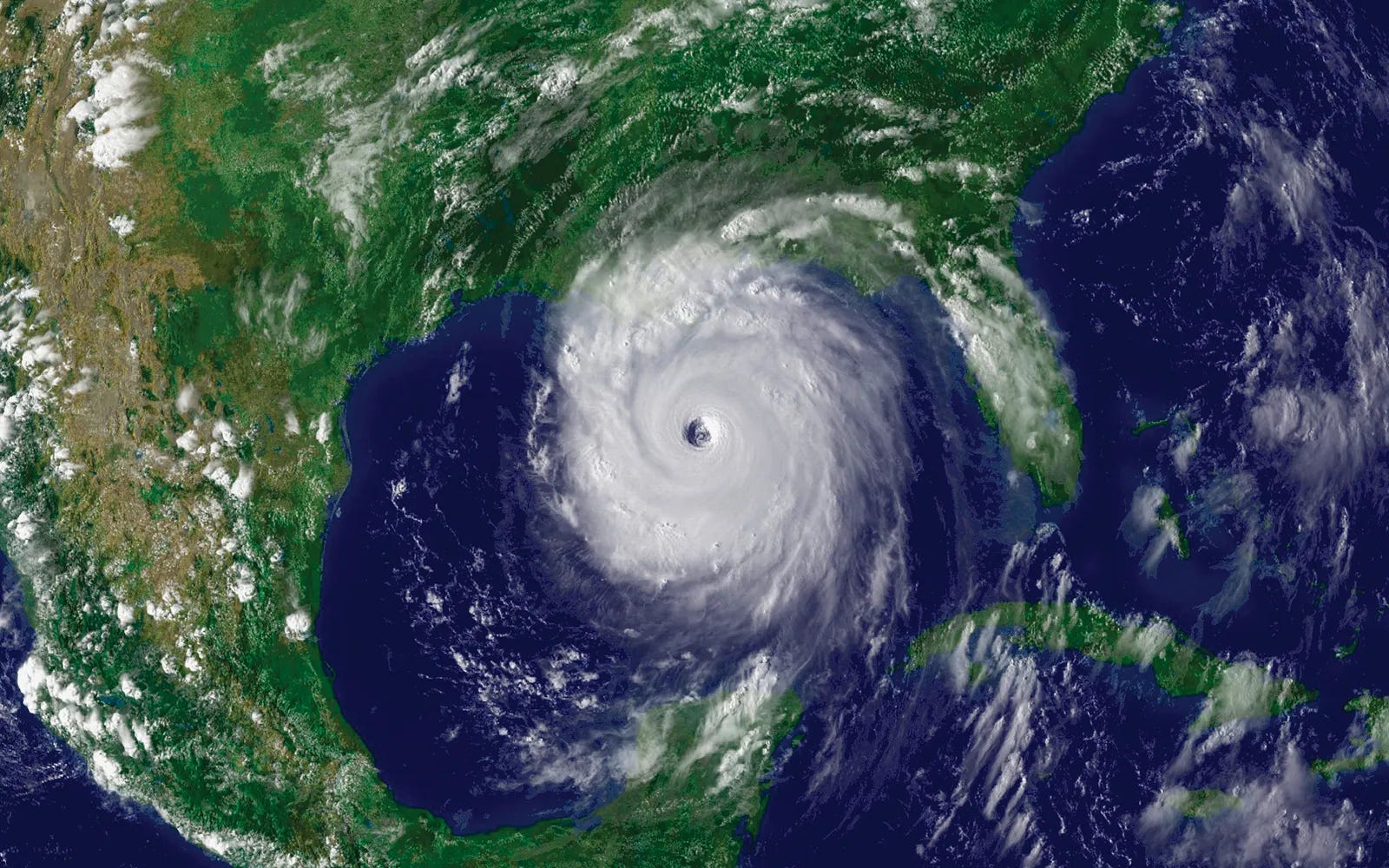 Surviving Katrina