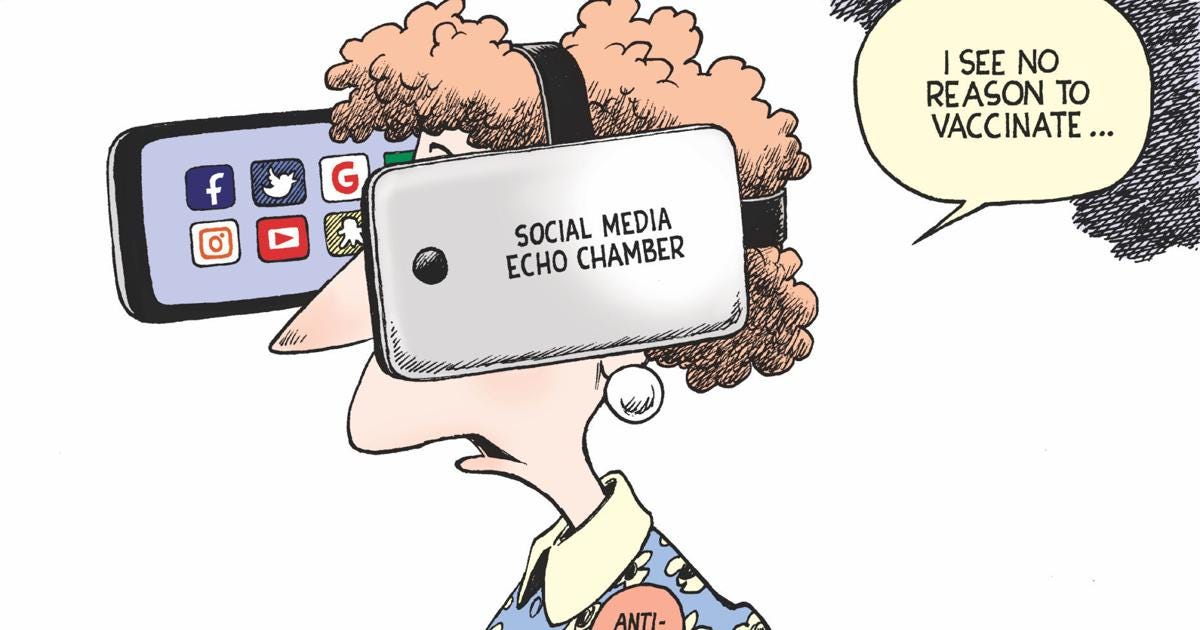 Echo Chamber | Cartoons | stardem.com