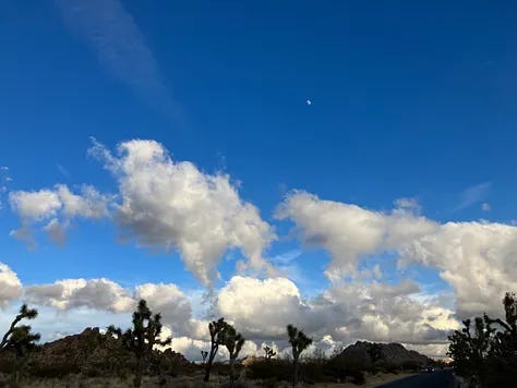 Photos and paintings of Joshua Tree