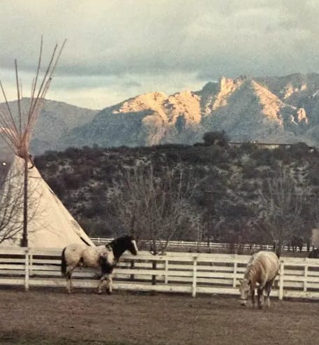 2 horses, a teepee and mountains in the background