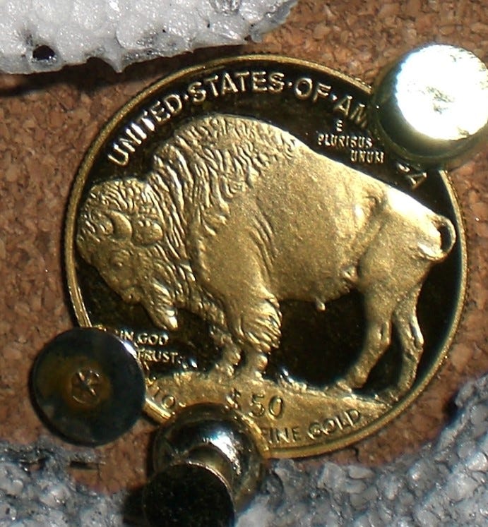 BK's Gardening Ambitions