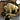 Buffalo_Ken's avatar