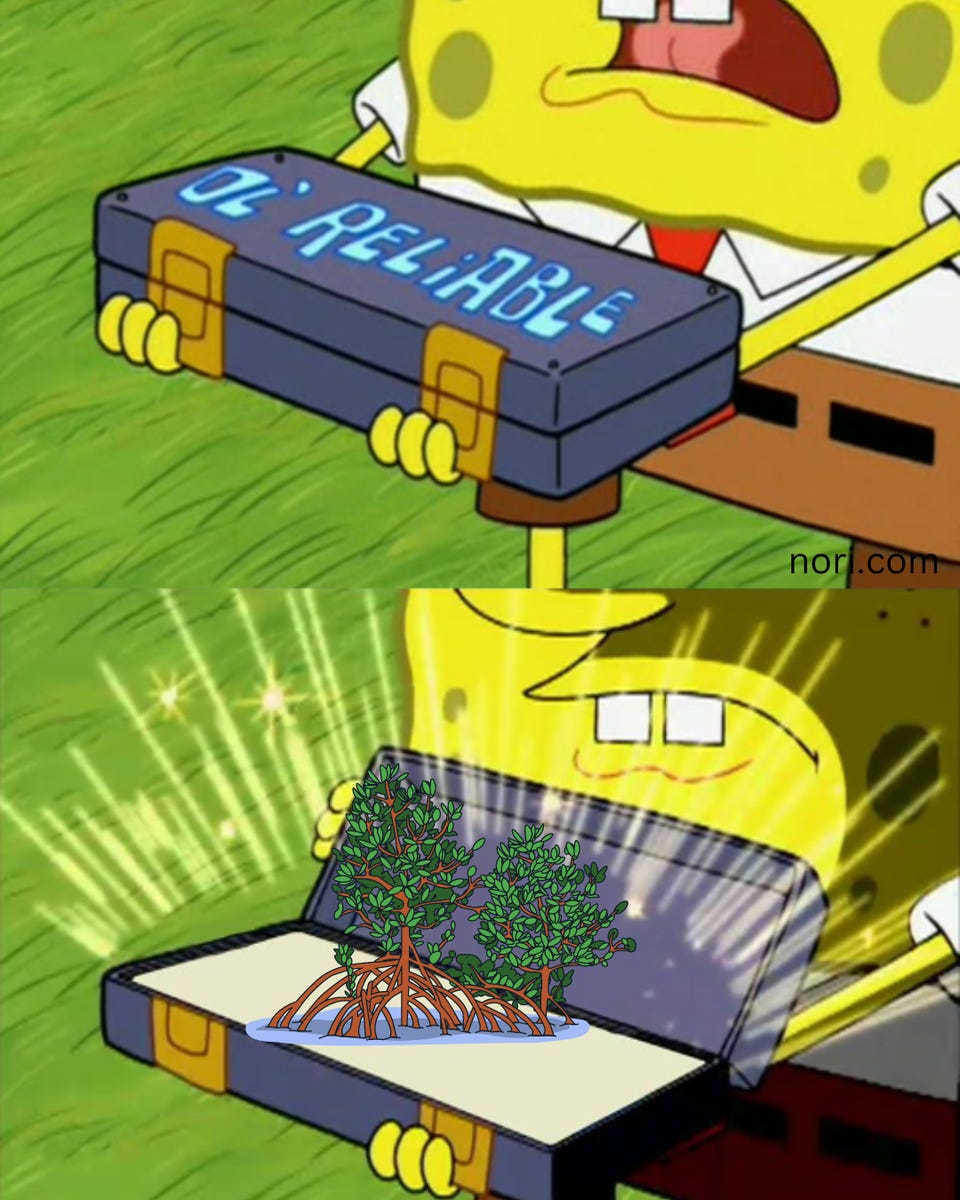 Two-panel SpongeBob meme. SpongeBob holds a briefcase labelled "Ol' Reliable," then opens it to reveal a clump of glowing mangrove trees.