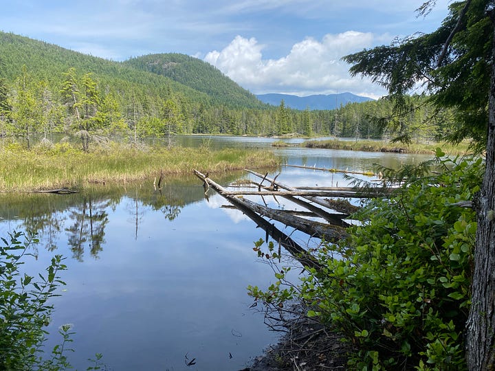 Four photos of the Sunshine Coast Trail. 1. A hiker with a full backpack (me) on a rocky beach at Sarah Point. @ and 3. Forest trails, one bathed in sunlight and the other in mist. 4. A calm lake reflecting a hill and sunny sky, with dead tree trunks lying in the water.