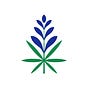 Bluebonnet Wellness's avatar