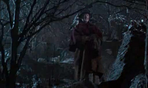 Home Alone 2 Bird Lady Home Alone 2 Bird Lady