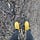 i go on a little walk