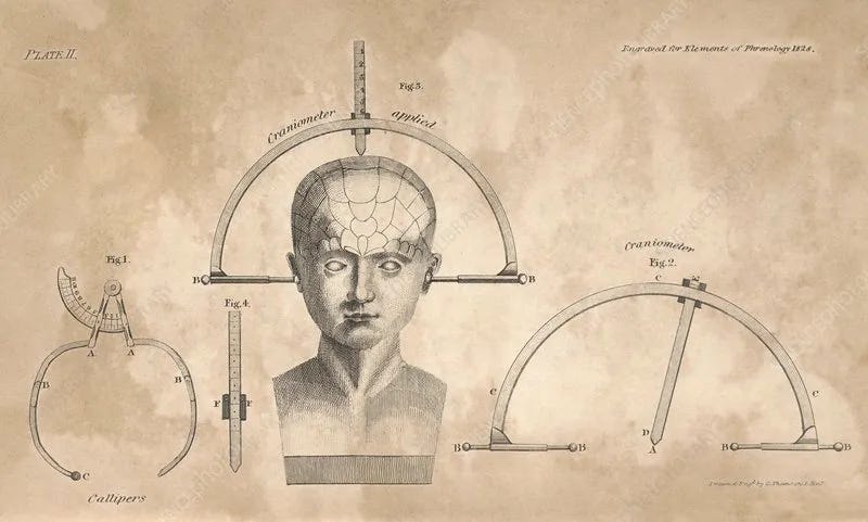 measuring skulls with calipers