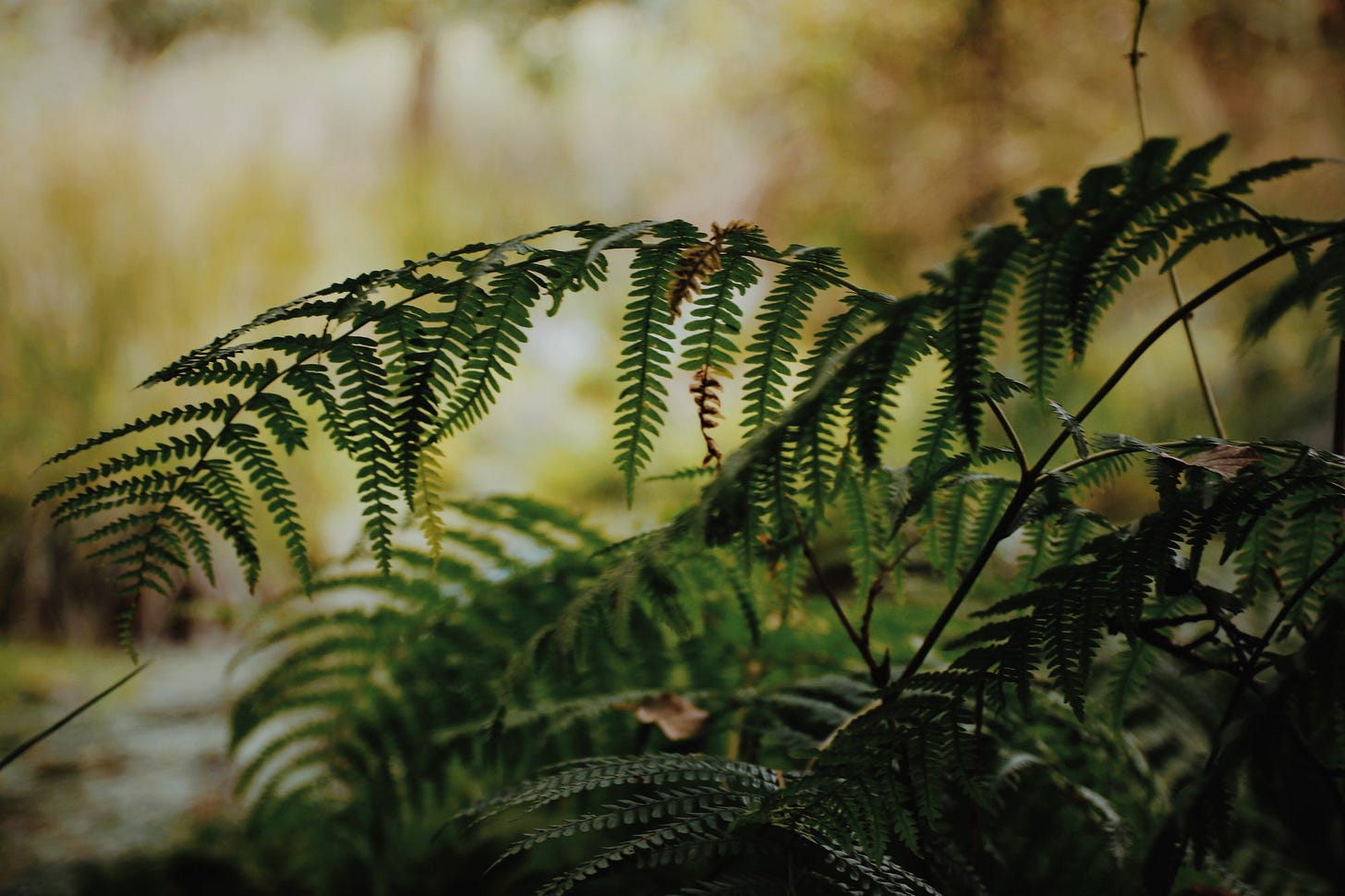 People, Passions & Projects #1: JennaPhoto People, Passions & Projects #1: JennaPhoto