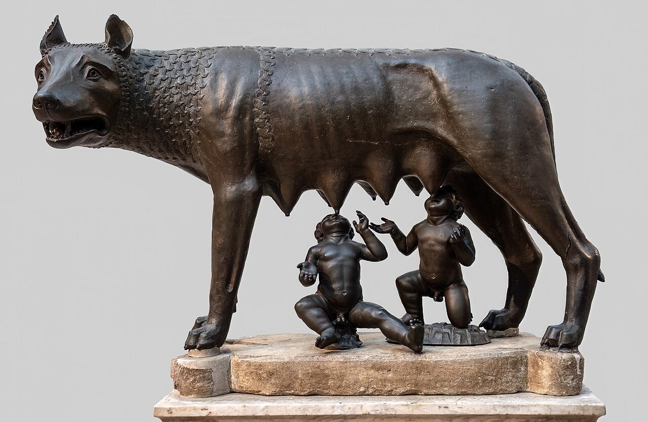 She wolf nursing twins