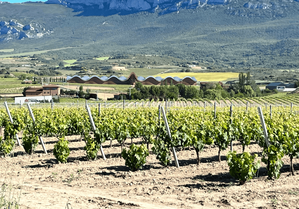 View of Ysios winery in Rioja, Spain View of Ysios winery in Rioja, Spain
