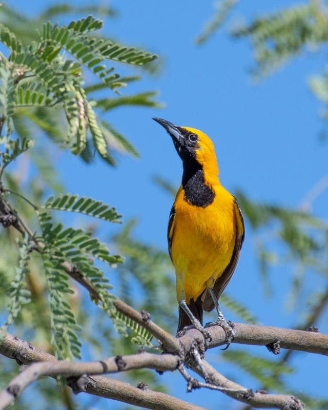 20200614_MBY-18.jpg 20200614_MBY-18.jpg