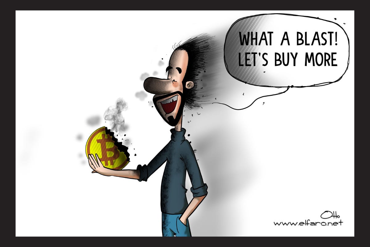 From EL FARO ENGLISH: Bukele Fiddles While the Crypto Market Burns - Latino  Rebels