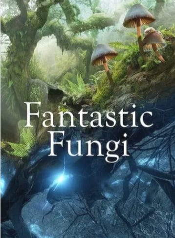 Paul Stamets : le monde vital des champignons dans Fantastic Fungi