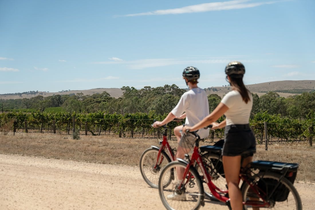 Riesling Trail - Clare, Attraction | South Australia