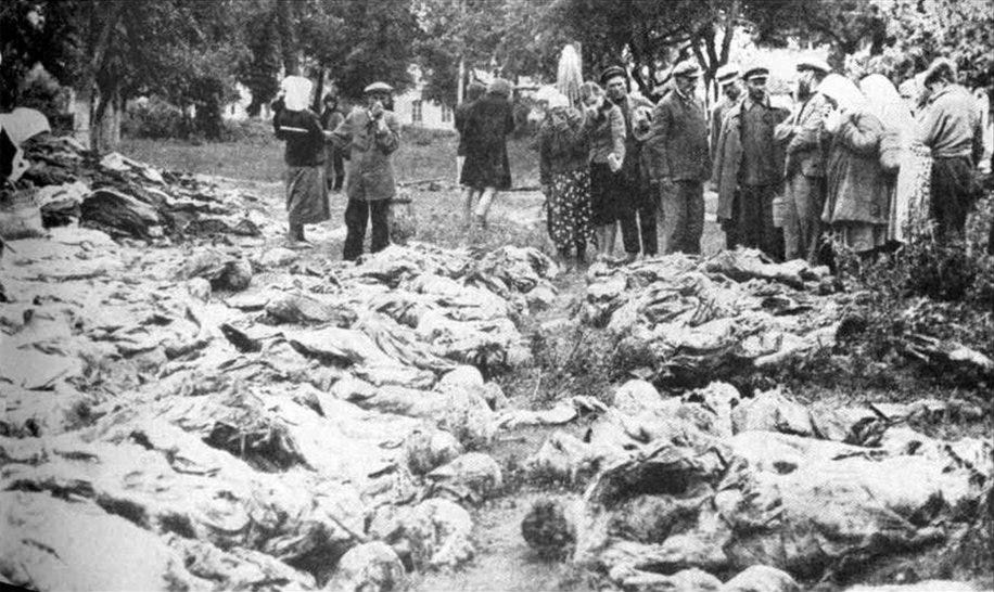 Exhumed mass grave of the Vinnytsia massacre.jpg