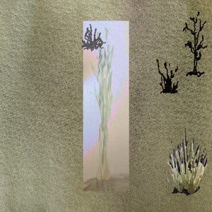 A Walk in the Grass - EP by Casino Hearts | Spotify A Walk in the Grass - EP by Casino Hearts | Spotify