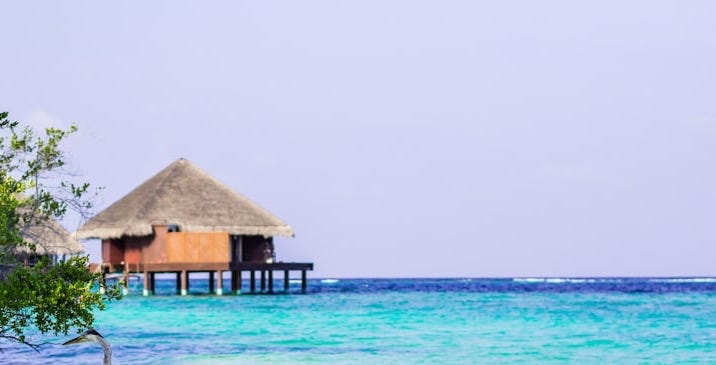 brown wooden house on beach during daytime brown wooden house on beach during daytime