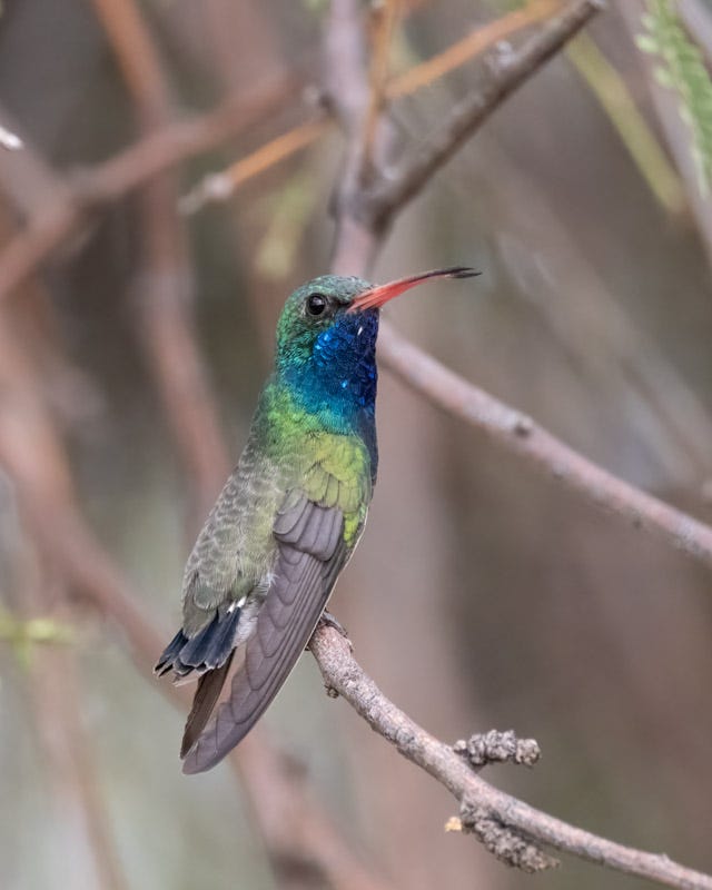 20241001-mby-268-Edit.jpg Oct 1.jpg 20241001-mby-268-Edit.jpg Oct 1.jpg