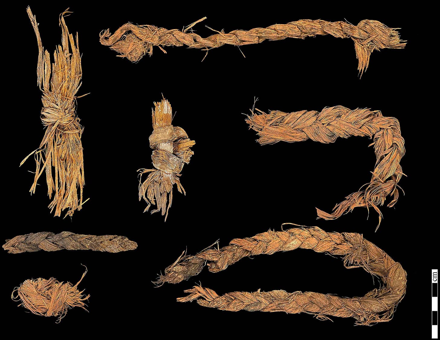 Several pieces of twined or braided cordage preserved from an archaeological site Several pieces of twined or braided cordage preserved from an archaeological site