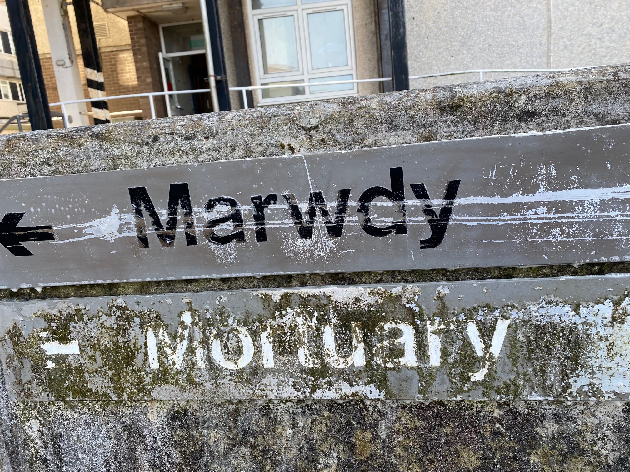 Substack profile picture for @mortuary