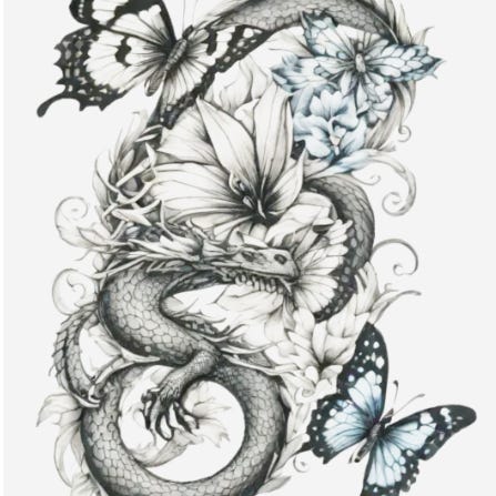 Dragon & The Butterfly