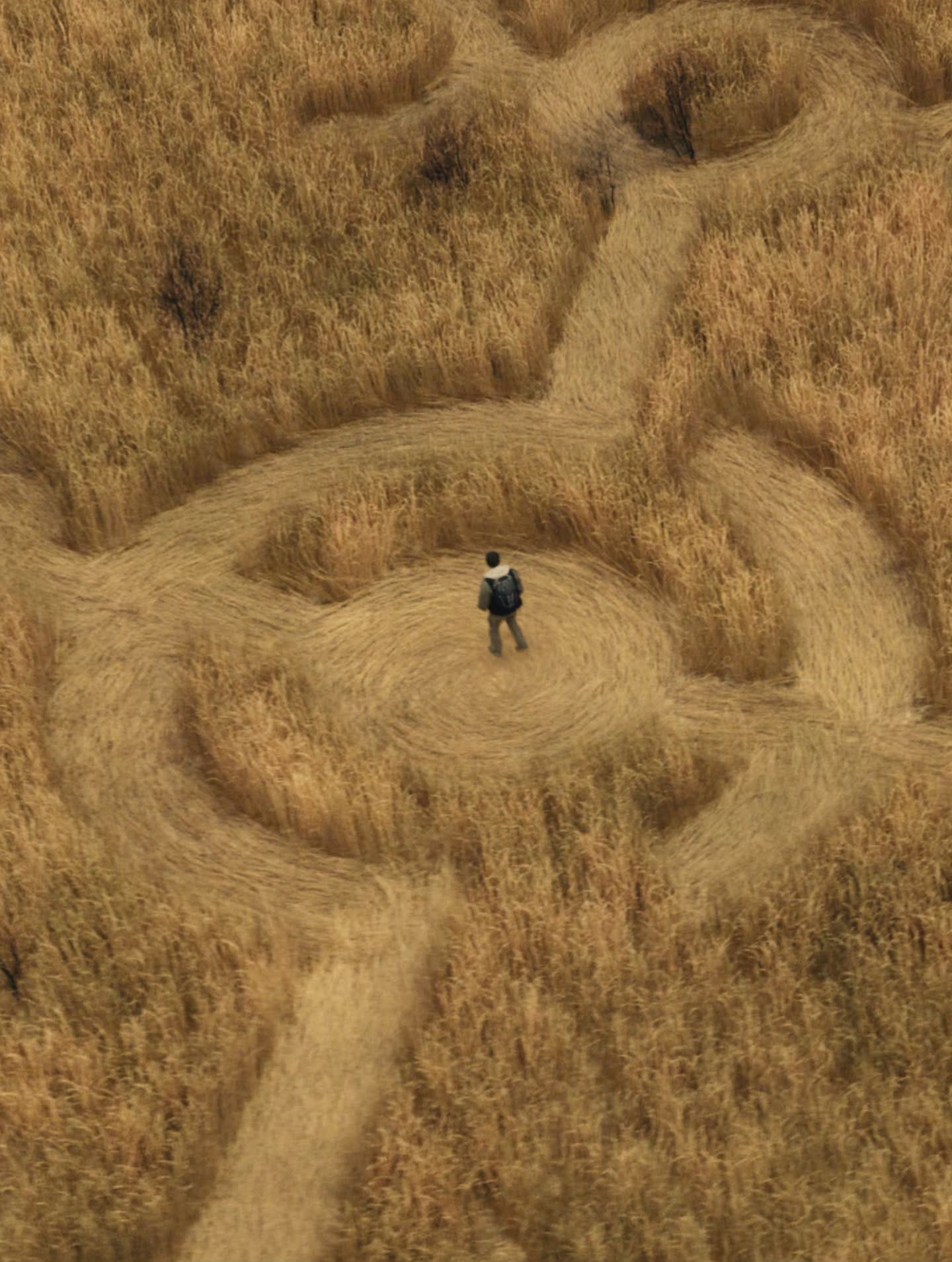 Man standing in crop circle Man standing in crop circle