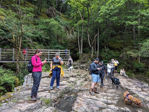 guided walk waterfalls brecon beacons