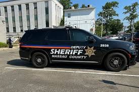 police forces ... police forces ...