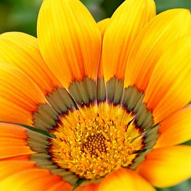 Why Can’t We Receive God’s Blessings?