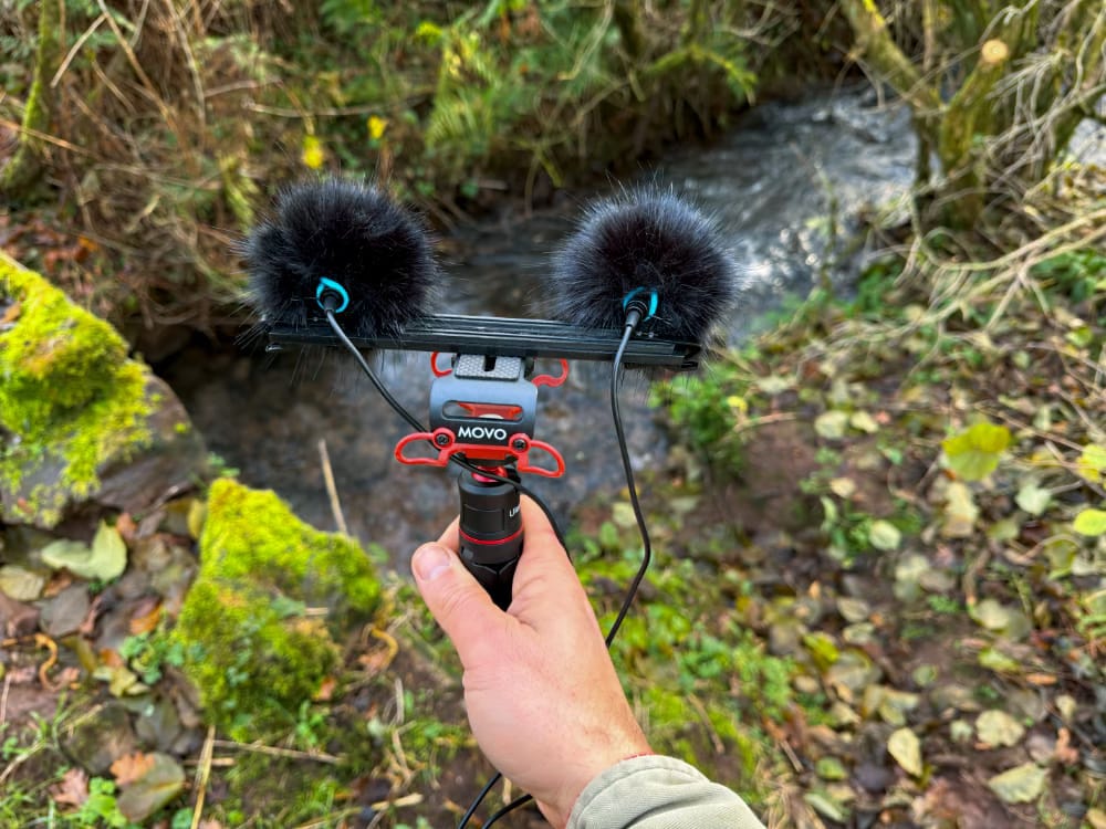 an image of some microphones next to a burn