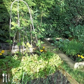 The Small Edible Garden Guide: Part 2