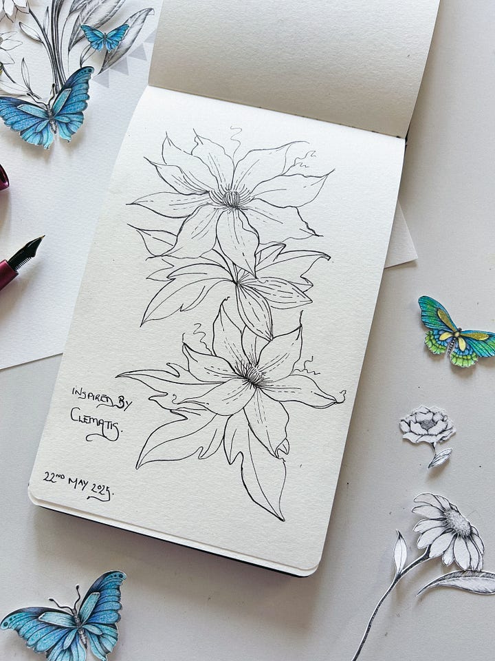 30 day drawing challenge with a fountain pen