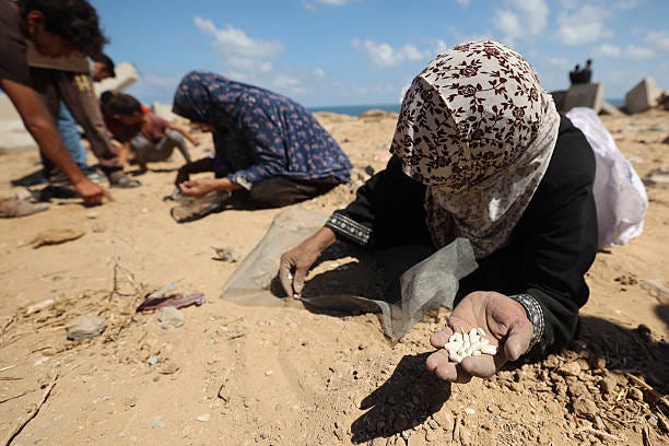 Palestinian women search the sand for legumes or rice in Nuseirat in the central Gaza Strip during an airdrop mission above the Israel-besieged...