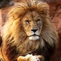 Unknown Hebrew's avatar
