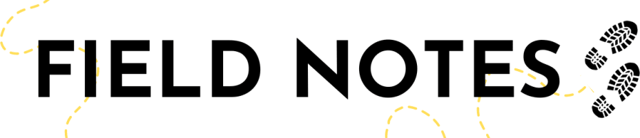 FIELD NOTES with Meghan J. Ward