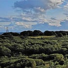 How is it that the "Wales Pension Partnership (WPP), a collaboration of local government pension schemes in Wales “will invest c. £70m” in Bute Energy's Twyn Hywel Energy Park?